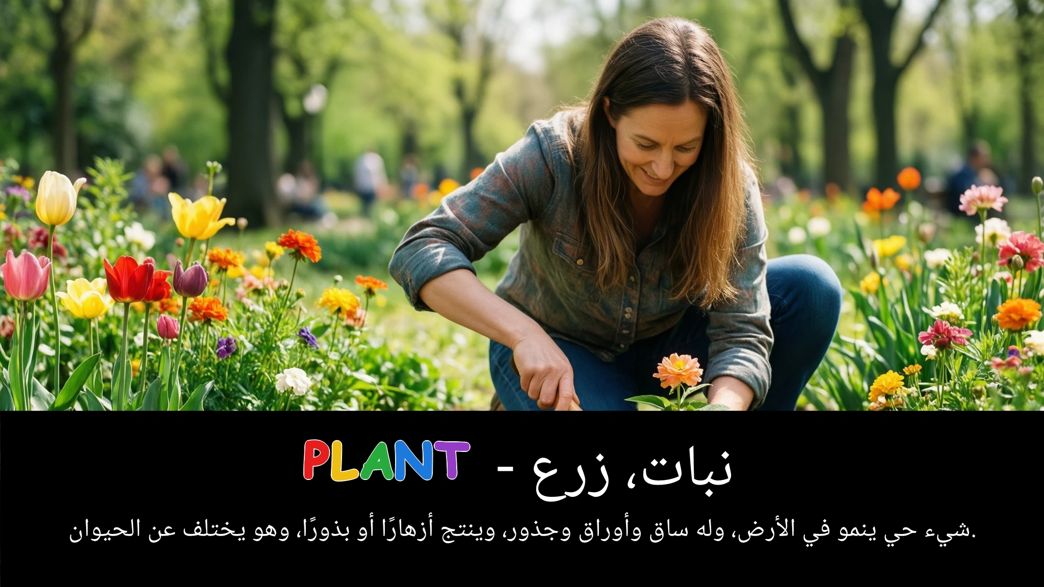Arabic Illustration for plant